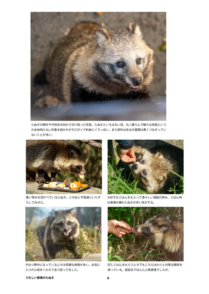 たぬきのためのデザイン?