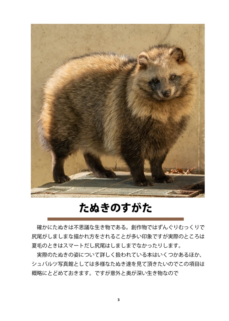 たぬきのためのデザイン?