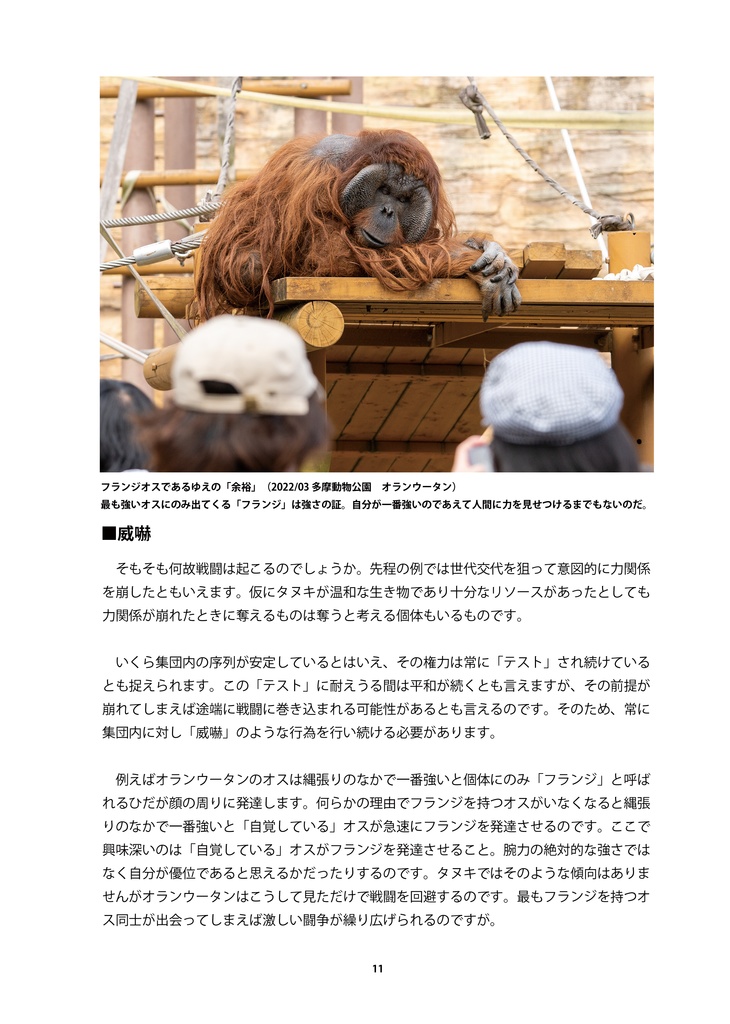 闘争をする動物たち平和を願う動物たち サル・タヌキ・チンパンジーで語る闘争論