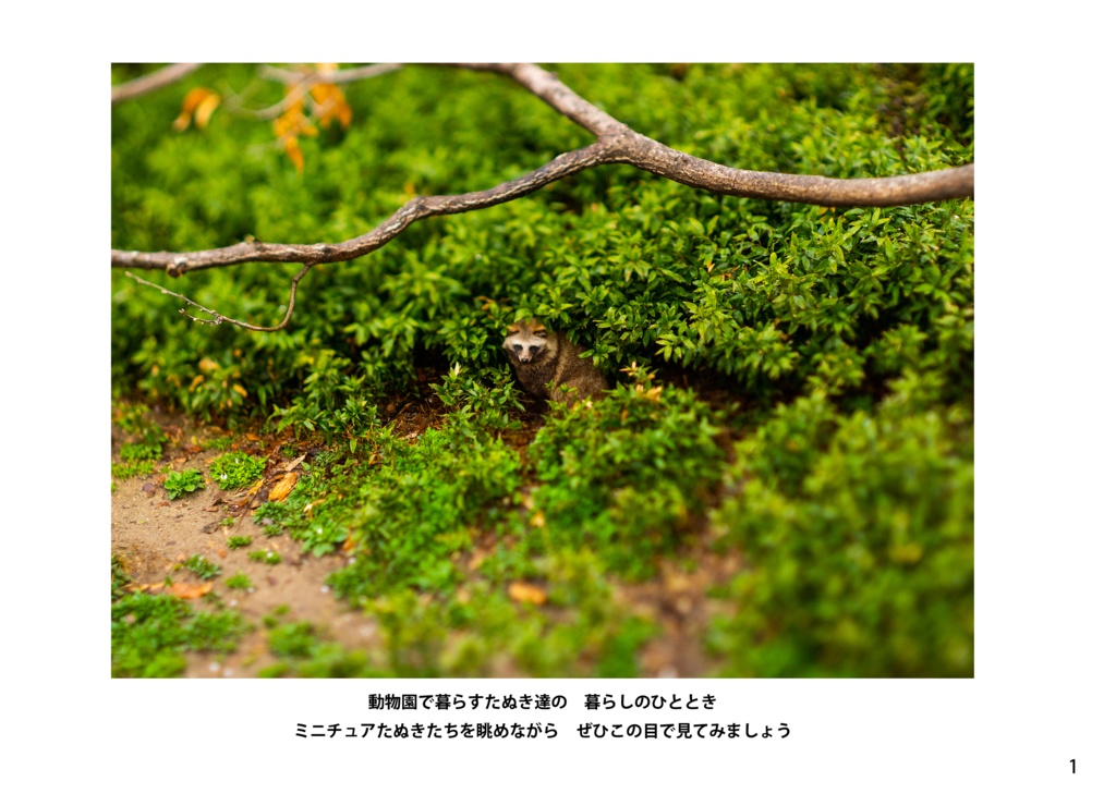 【納期3W以内】It’s a small Raccoon Dog