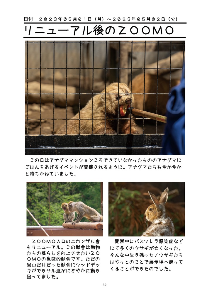 輝きを増すたぬきたち~盛岡市動物公園の動物たちを追い続けて~