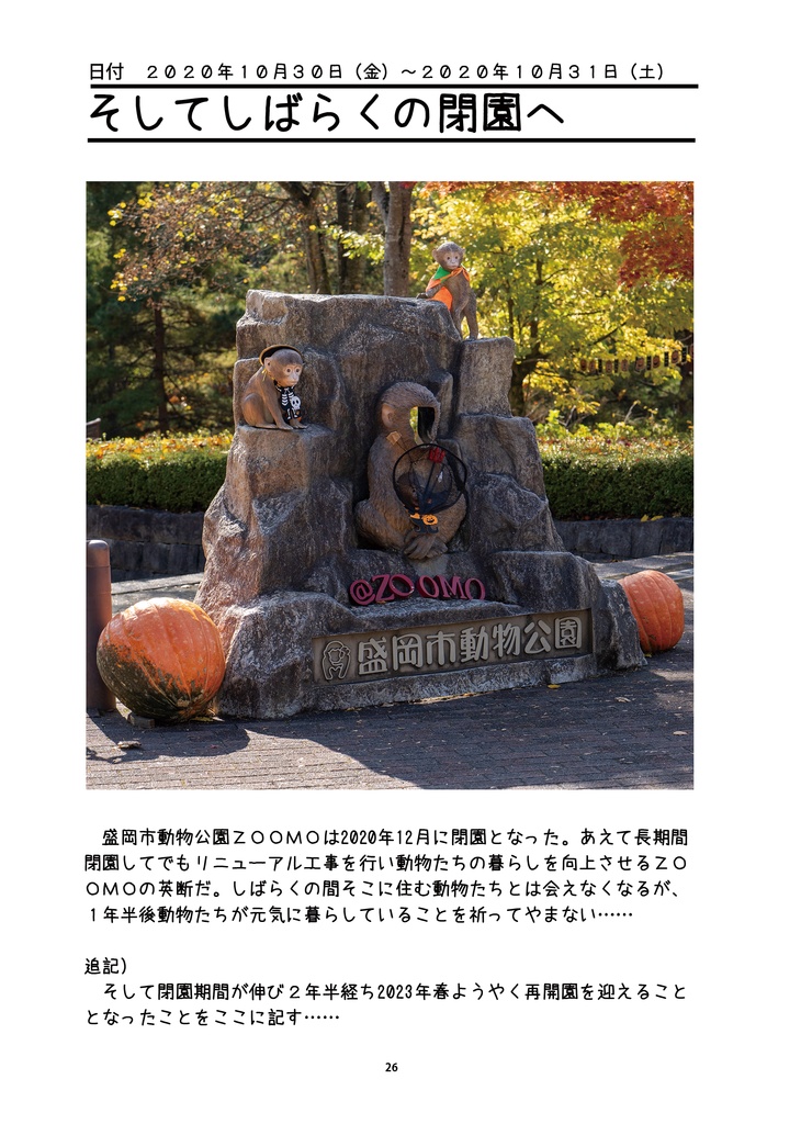 輝きを増すたぬきたち~盛岡市動物公園の動物たちを追い続けて~