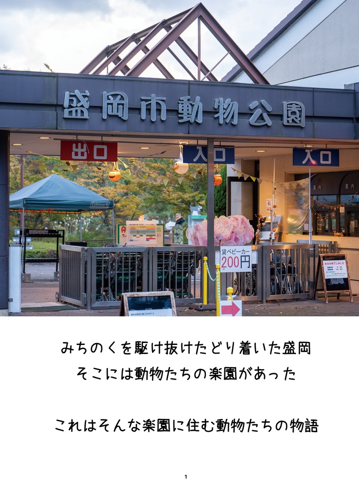 輝きを増すたぬきたち~盛岡市動物公園の動物たちを追い続けて~