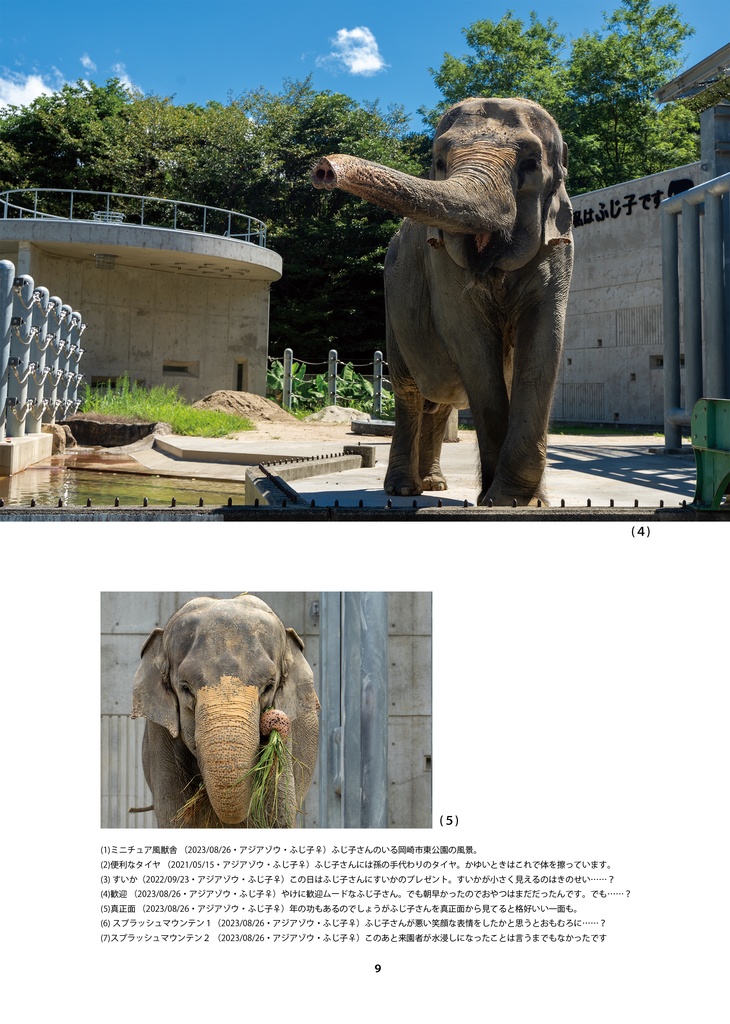 【納期3W以内】もっと岡崎市東公園動物園はいいぞ