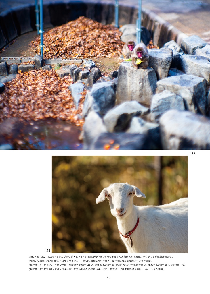 【納期3W以内】もっと岡崎市東公園動物園はいいぞ