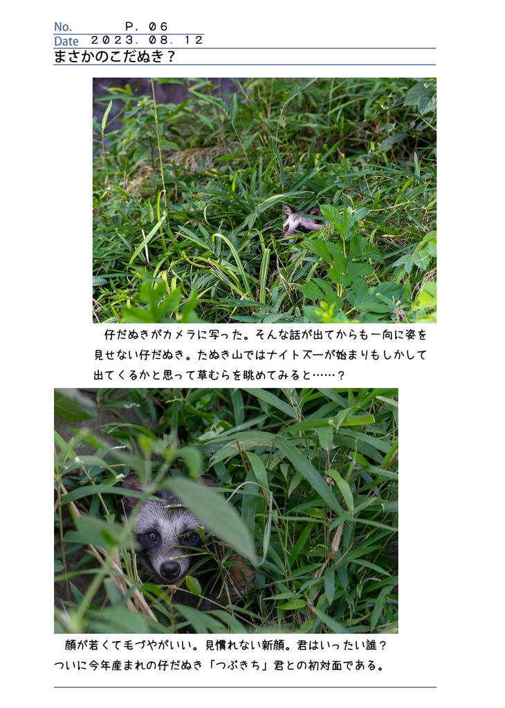 たぬき山のかぞく