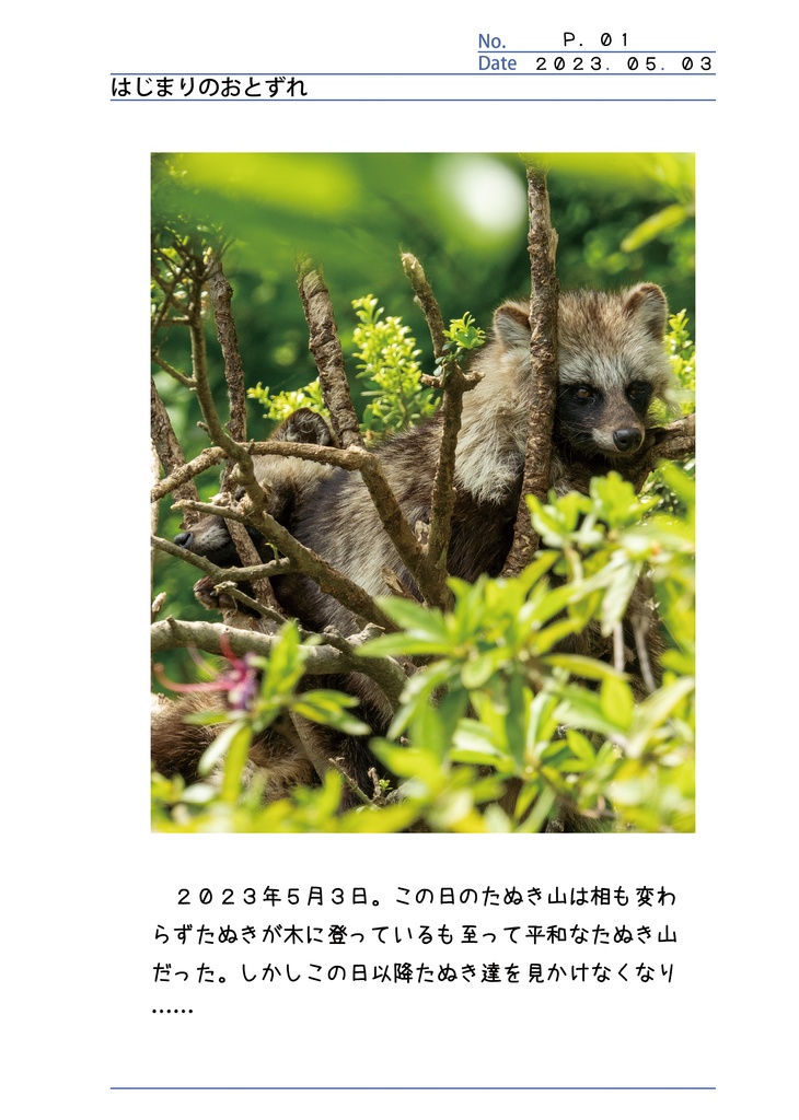 たぬき山のかぞく