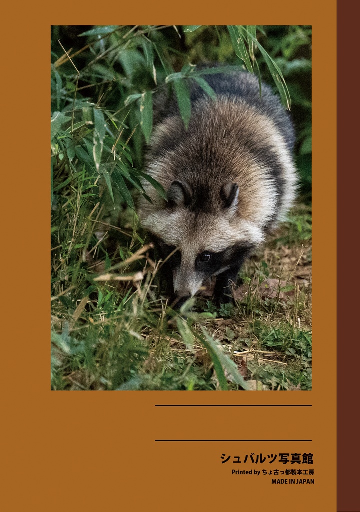 たぬき山のかぞく