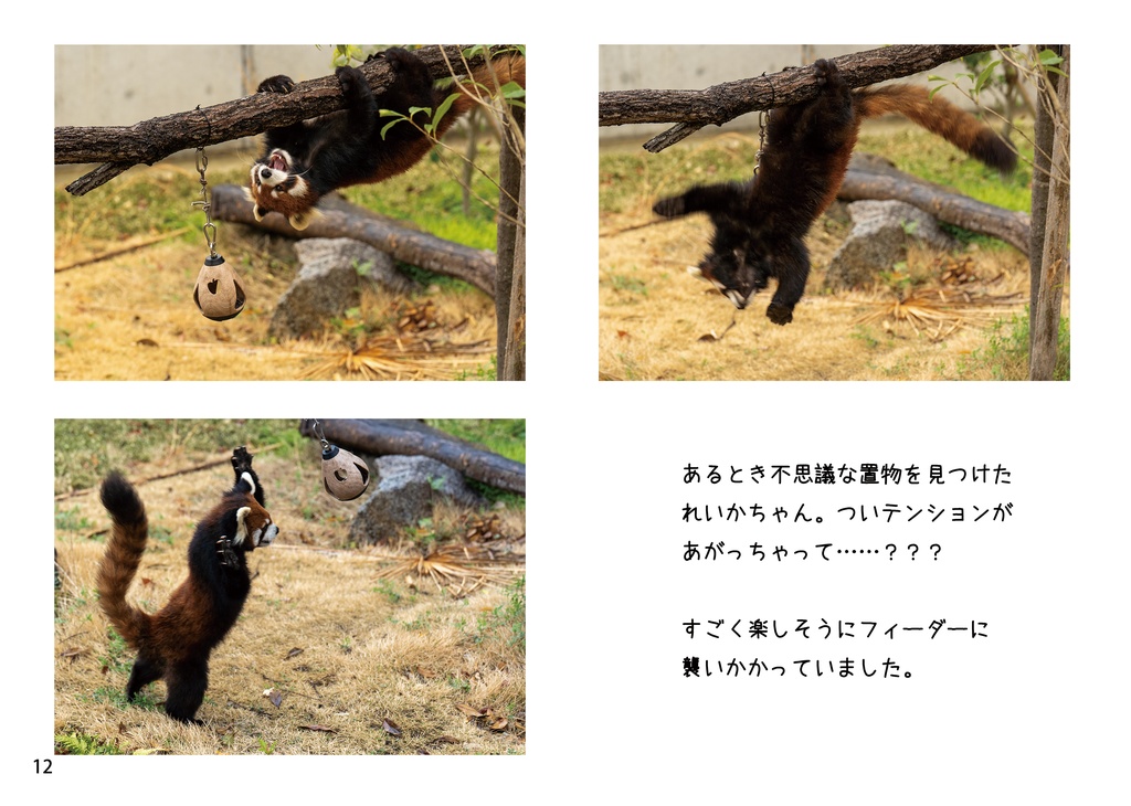 凛々しく無邪気なれいかちゃん