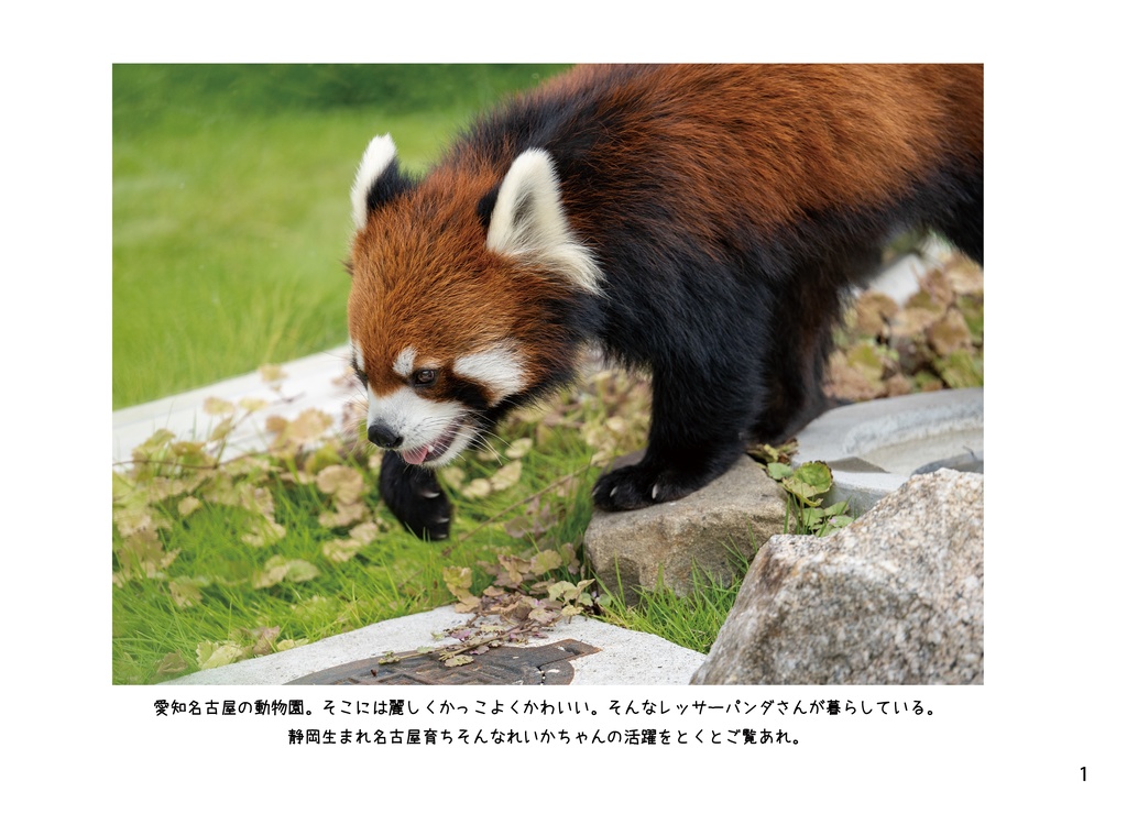 凛々しく無邪気なれいかちゃん