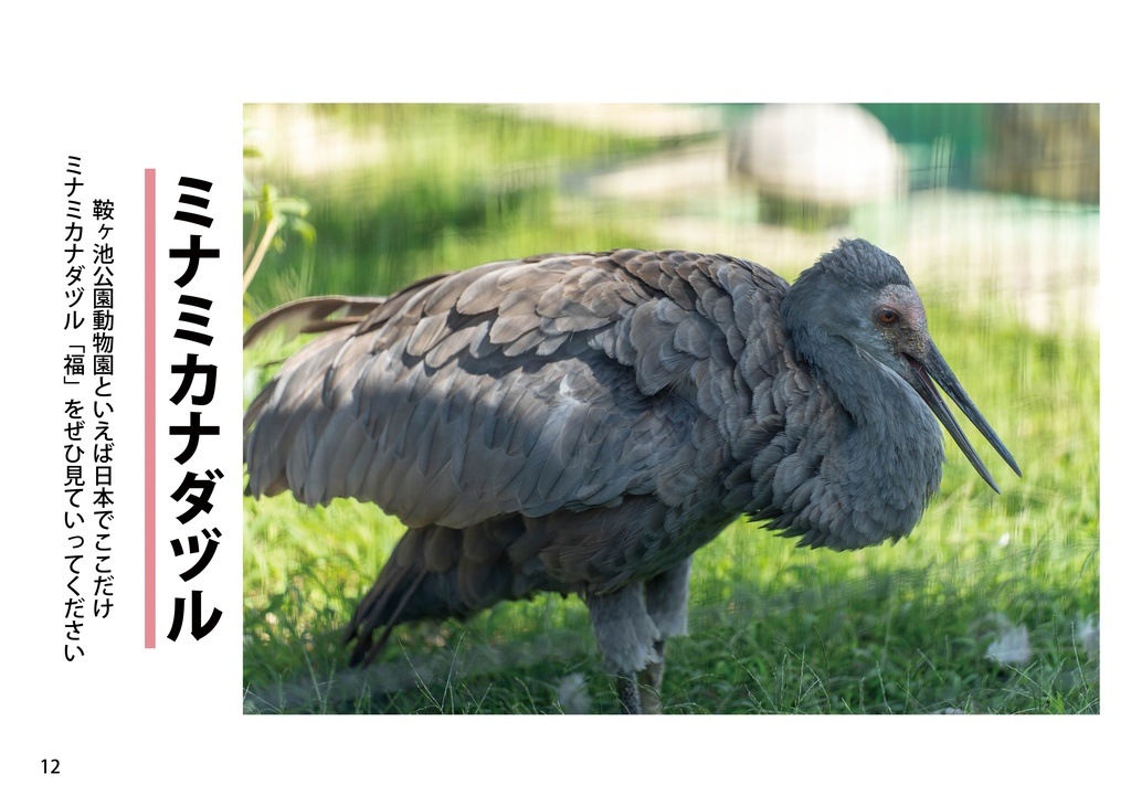 愛知の動物園最後の秘境 鞍ケ池公園動物園