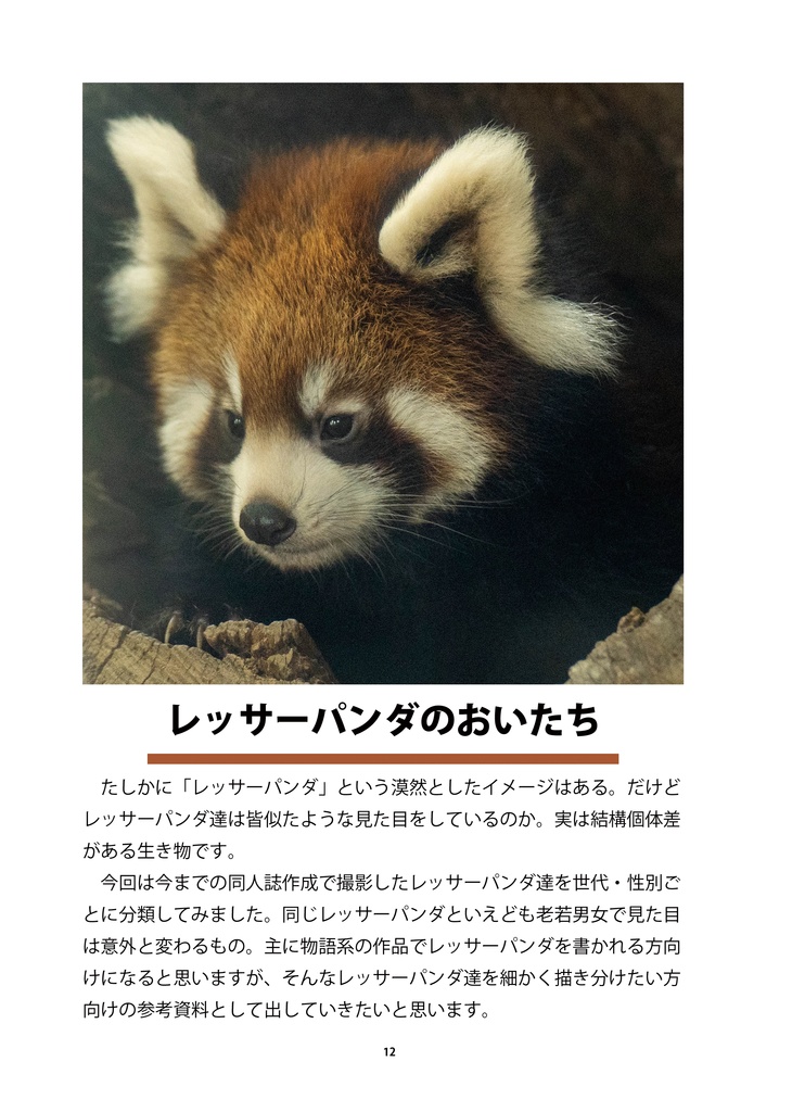 レッサーパンダのためのデザイン?