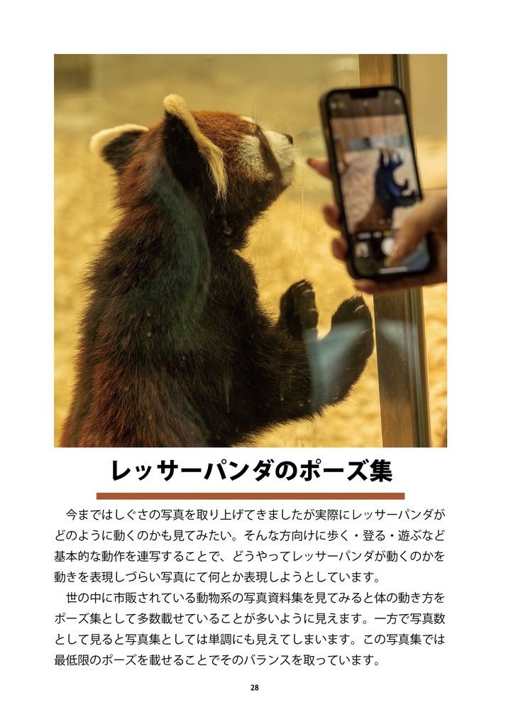 レッサーパンダのためのデザイン?