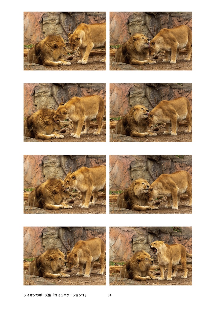 ライオンのためのデザイン?