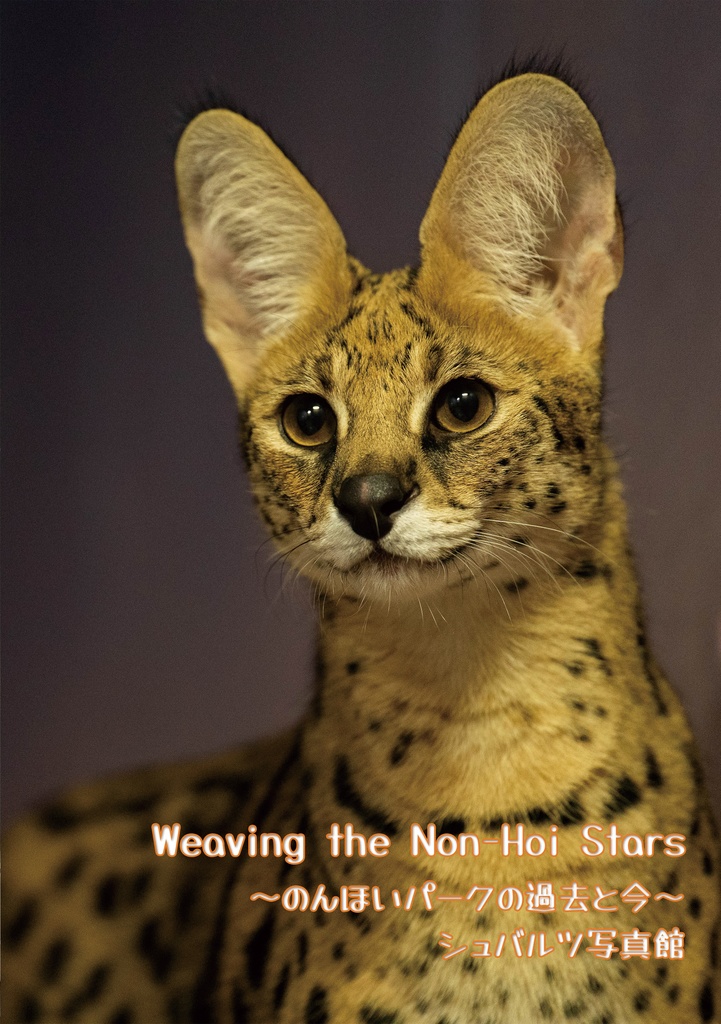 Weaving the Non-Hoi Stars