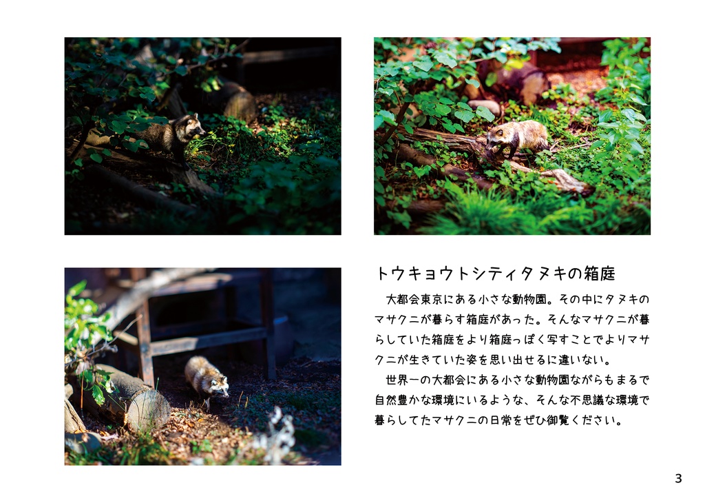 【C107イベント後発送予定】東京シティタヌキ