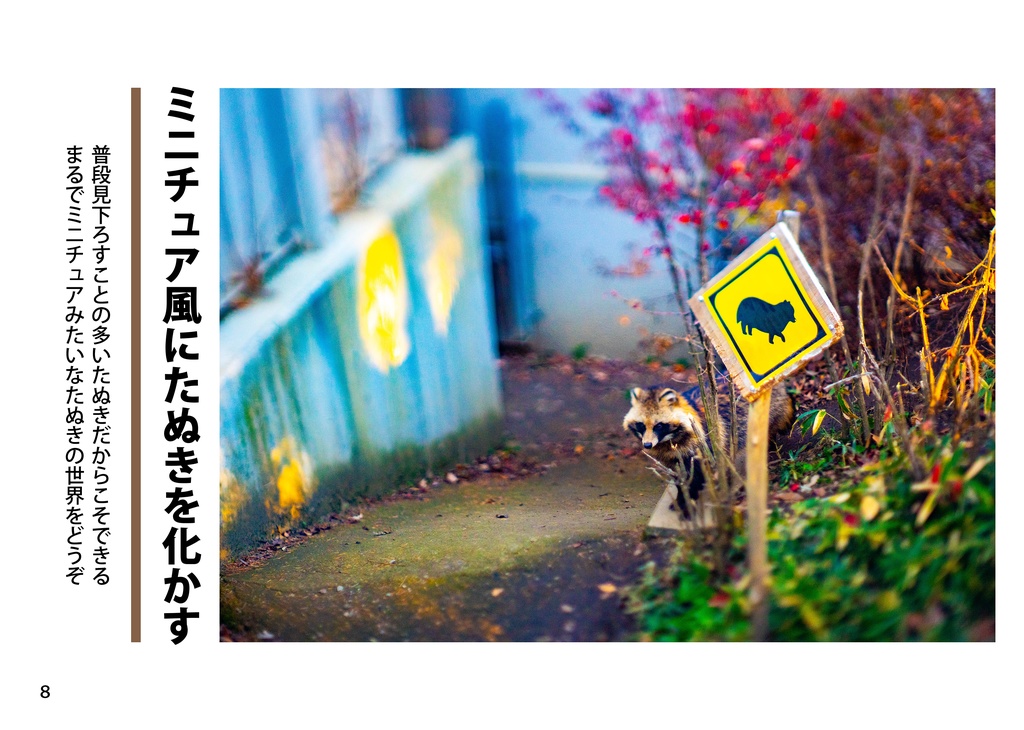 【たぬきのつどい新刊】写真七化け、たぬきは八化け ~たぬきを「化かす」写真集~