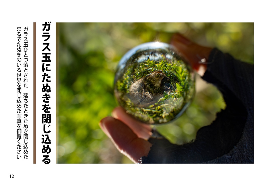 【たぬきのつどい新刊】写真七化け、たぬきは八化け ~たぬきを「化かす」写真集~