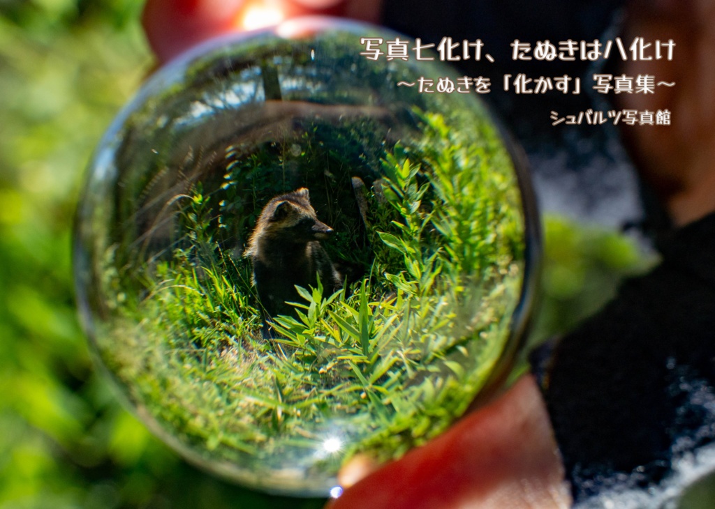 写真七化け、たぬきは八化け　～たぬきを「化かす」写真集～