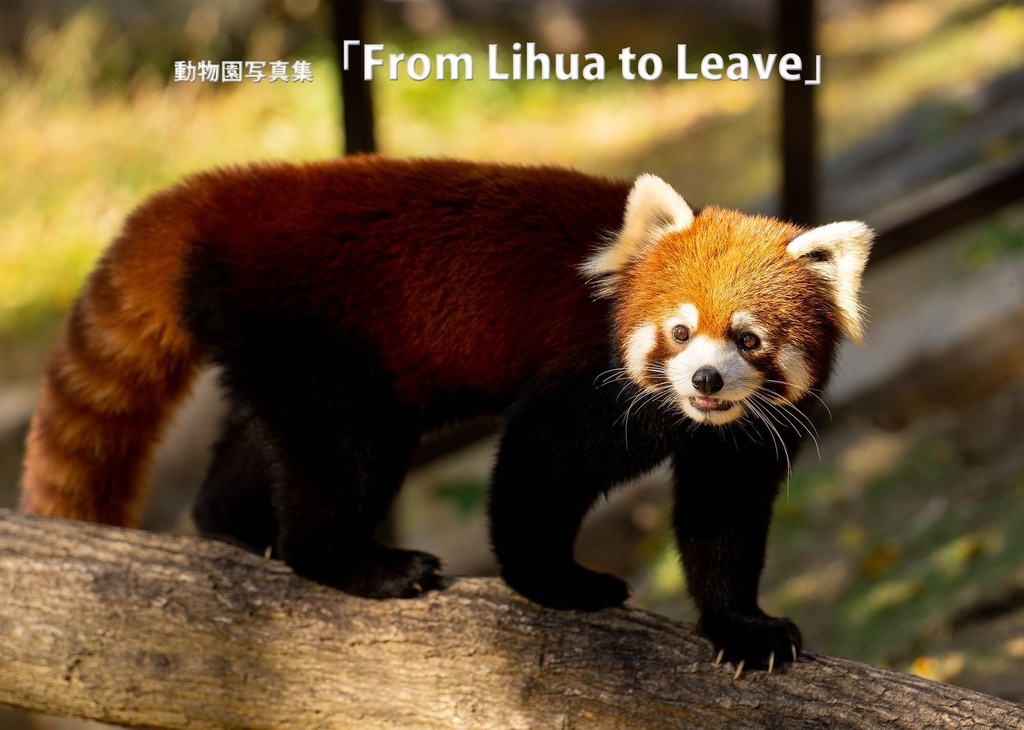 From Lihua to Leave（仮）