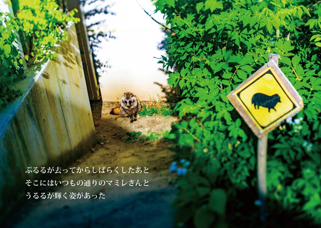 松本たぬきたちの、そのあと