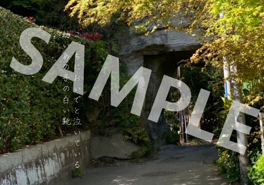 ポストカード8枚セット