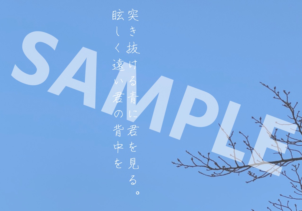 ポストカード3枚セット