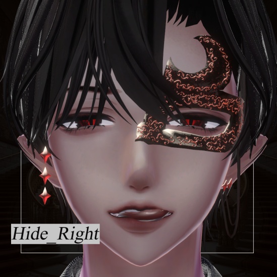 【水瀬専用】🎃Midnight Masquerade🎃【ハロウィン】