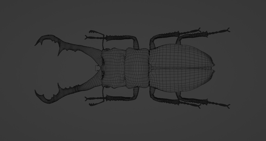 【Free】ギラファノコギリクワガタ