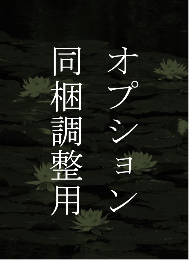 オプション・同梱調整用