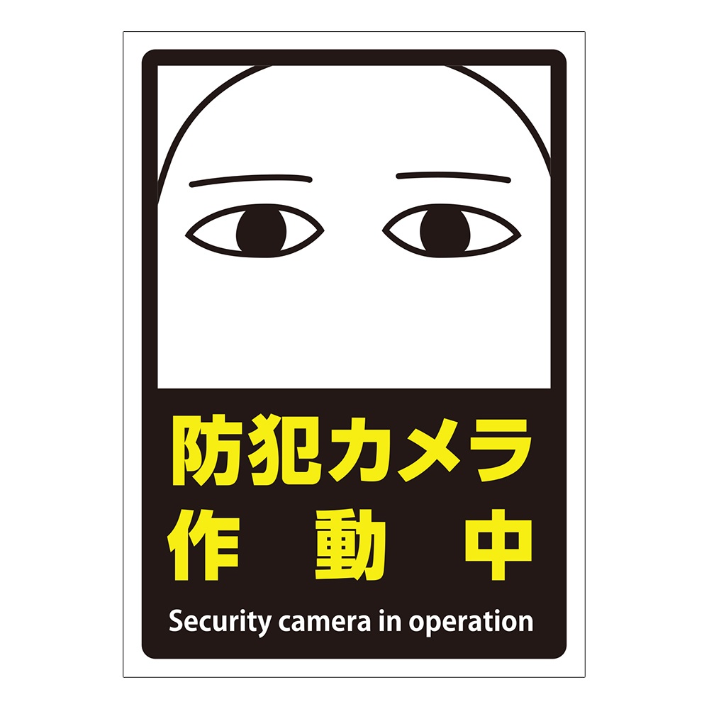 メジェド様防犯カメラステッカー
