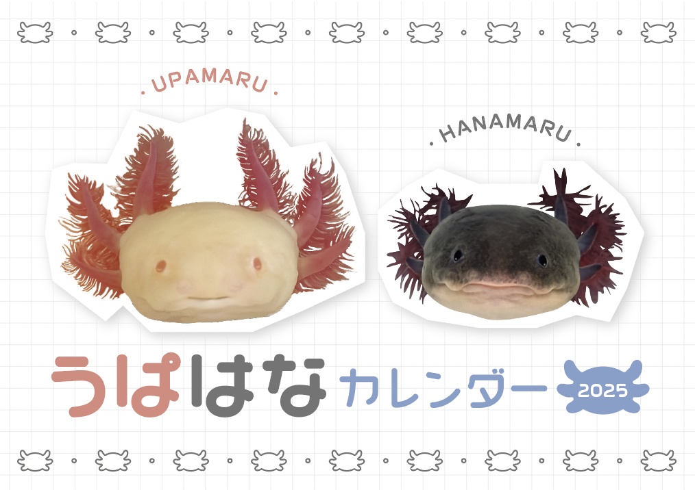 うぱはなカレンダー2025（飼育記録欄・ステッカー付き）壁掛け・卓上2WAY