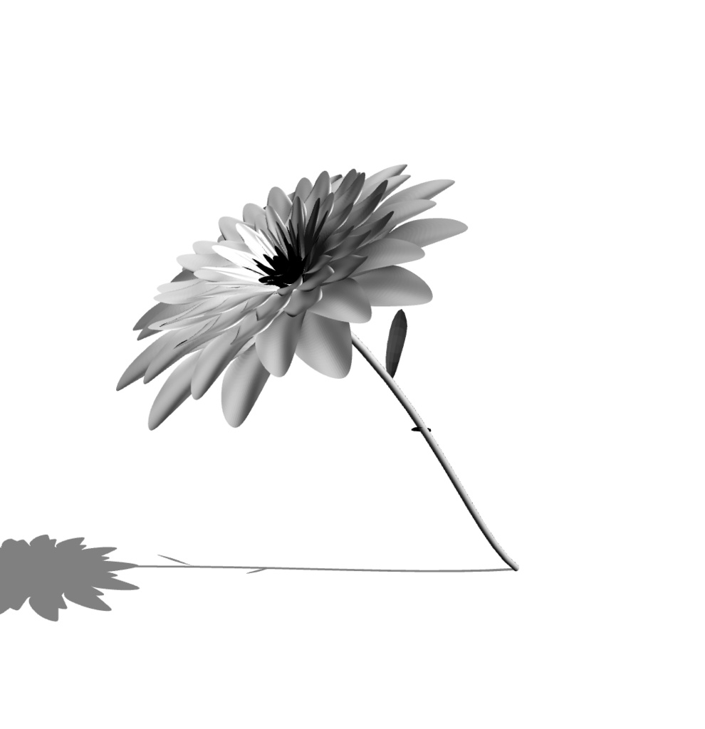 花(flower) 3Dモデル