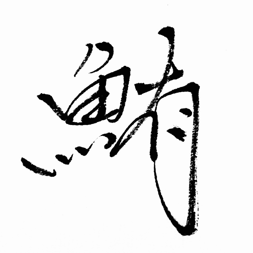 鮪　tuna