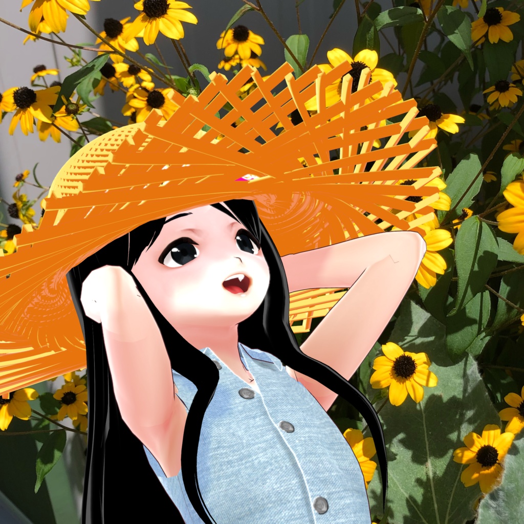 麦わら帽 Straw hat