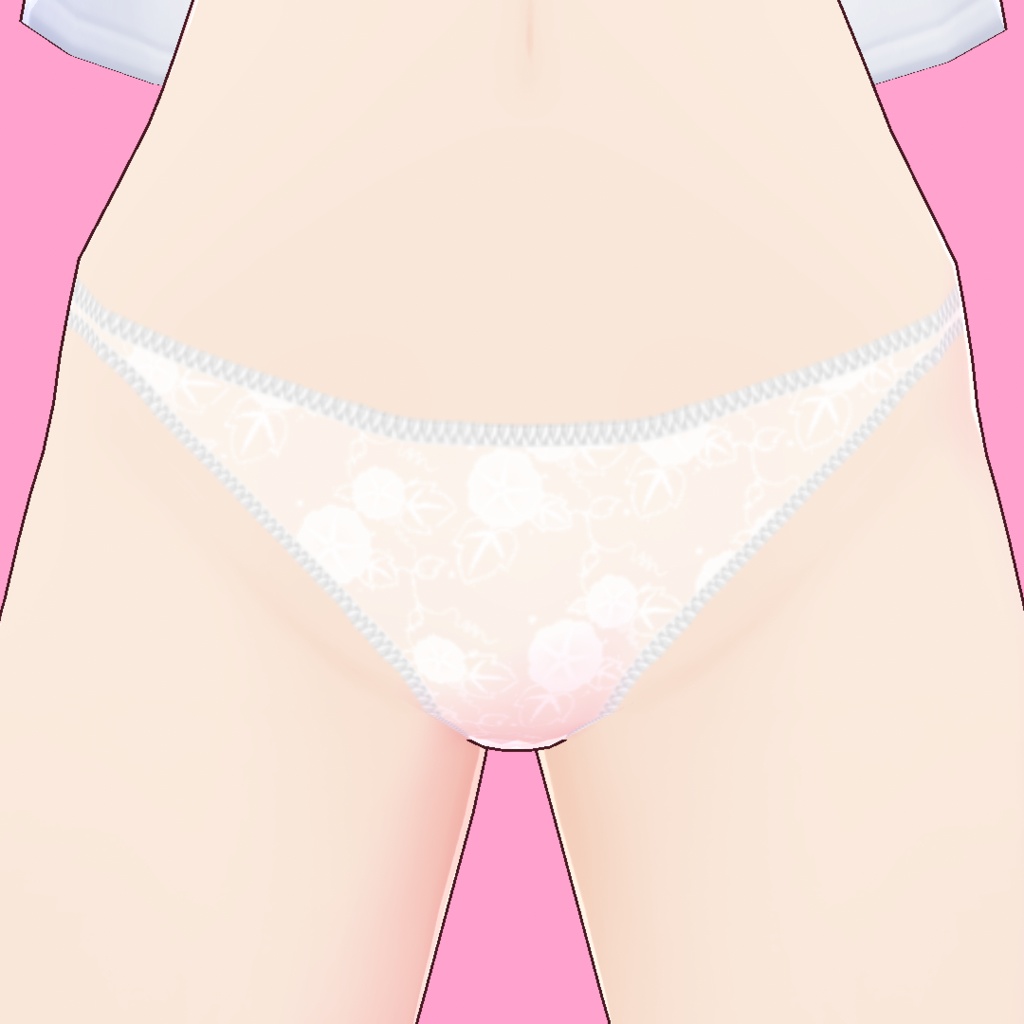 白いレースのパンティ