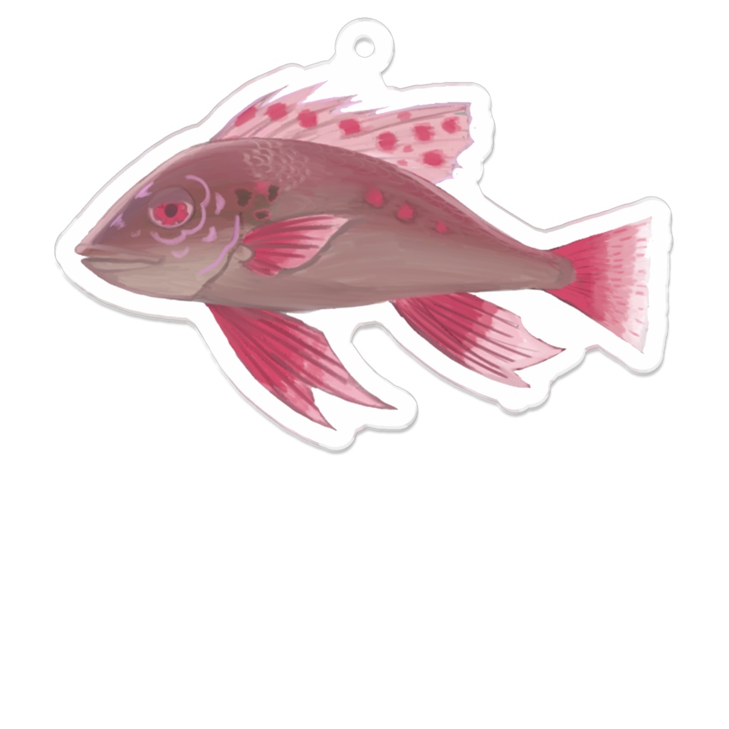 紅梅孔雀魚のアクキー