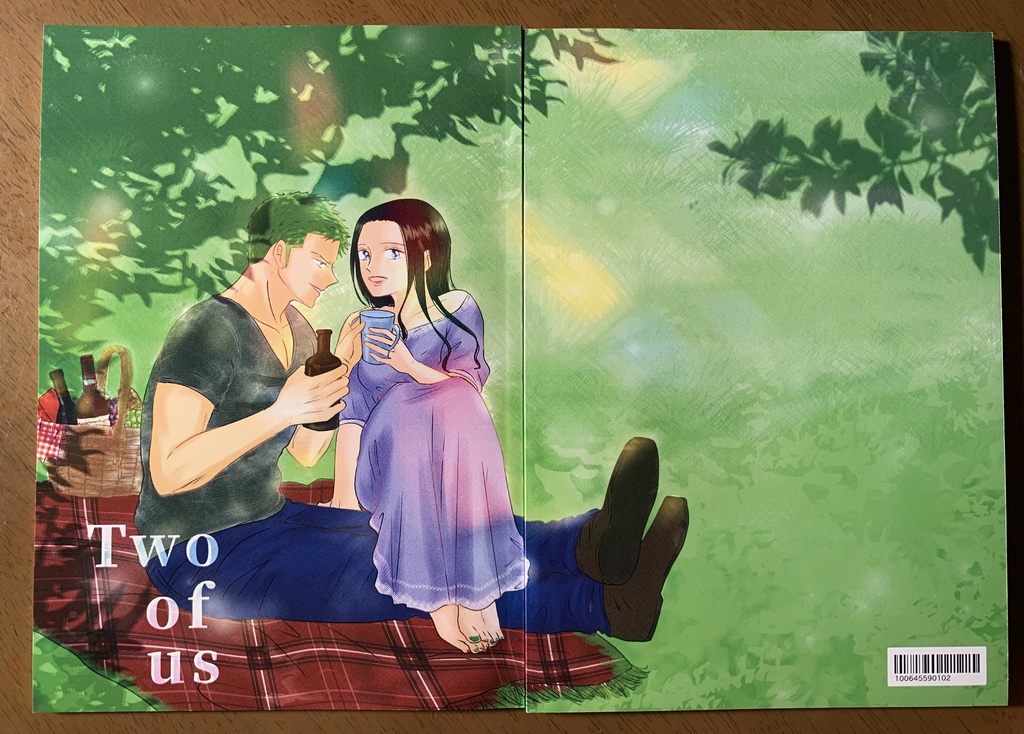 ゾロビン イラスト集【Two of us】