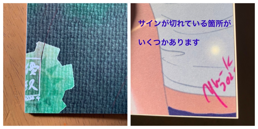 ゾロビン イラスト集【Two of us】