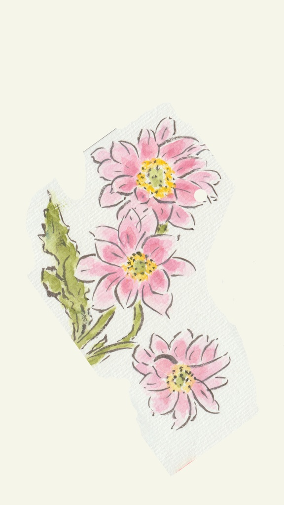大人かわいいコスモスの花・スマホ壁紙