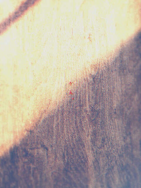 【COCシナリオ】猿芝居 SPLL:E119344