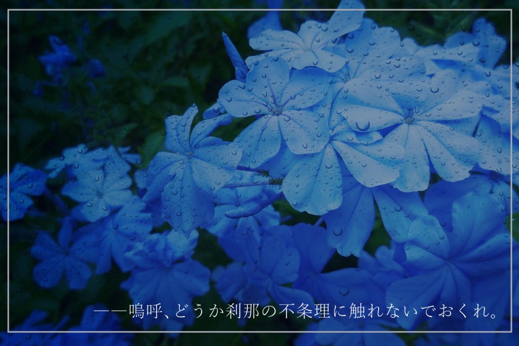 CoC「六月の花婿は初夏の刹那に触れる」