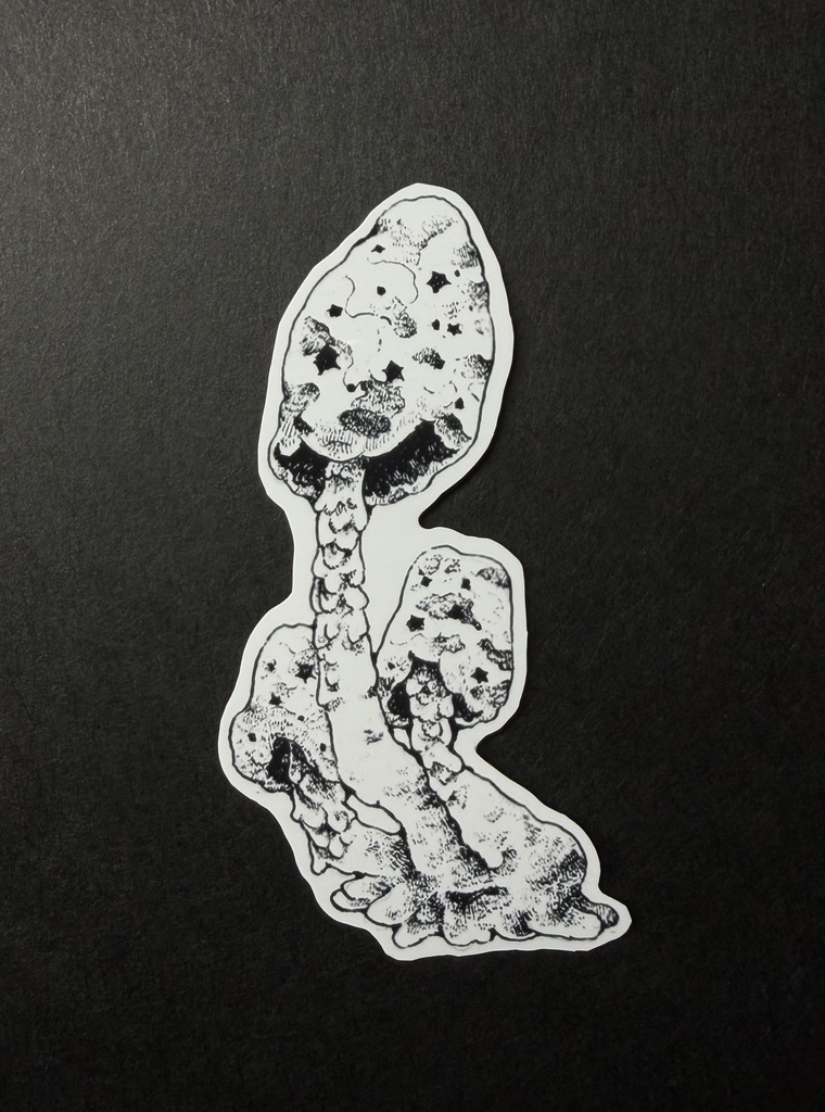 星座ステッカー【魚座】