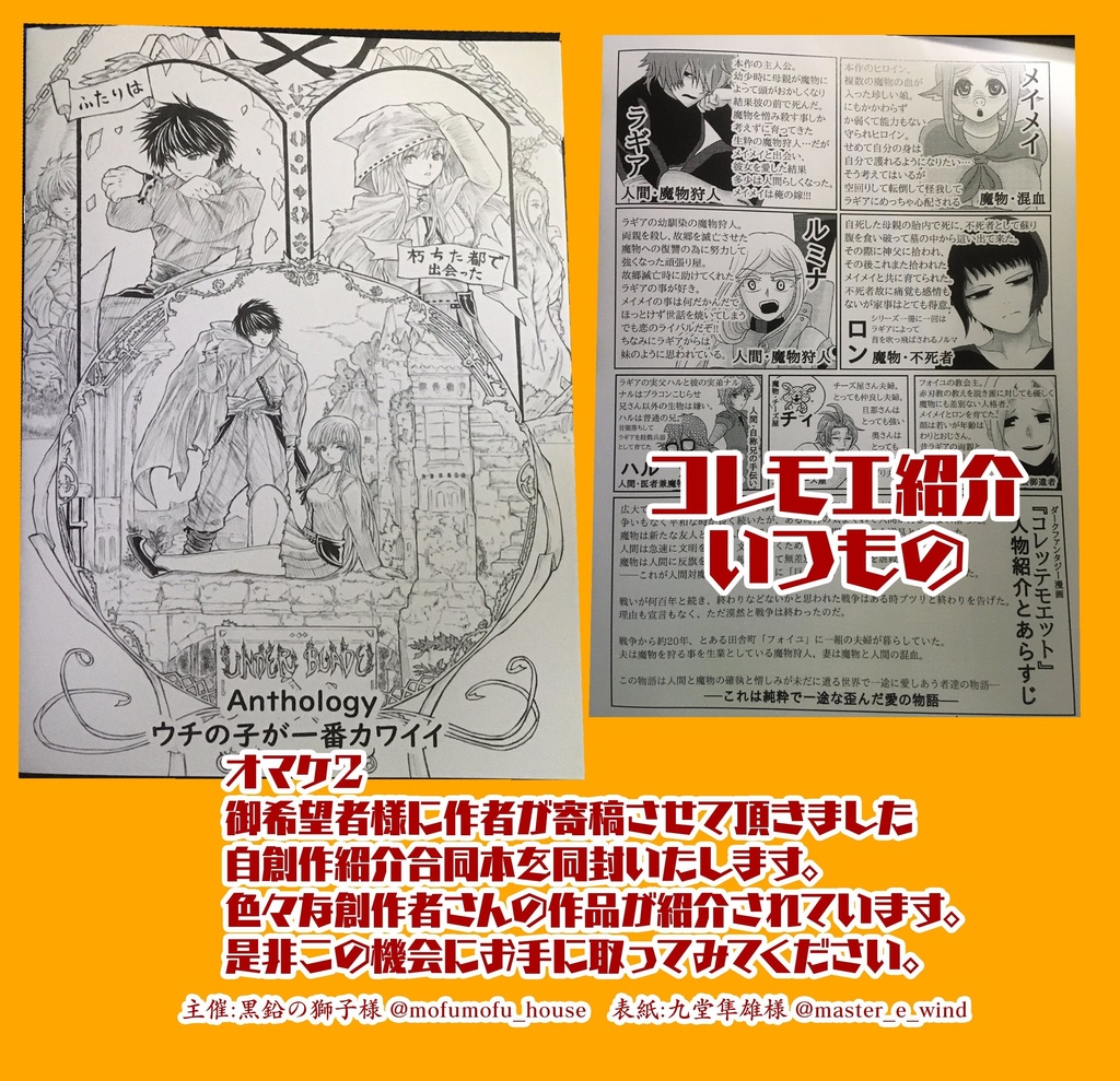 【準新刊】エーデルワイスへ継ぐ伝承歌 攻略&会話掲載本