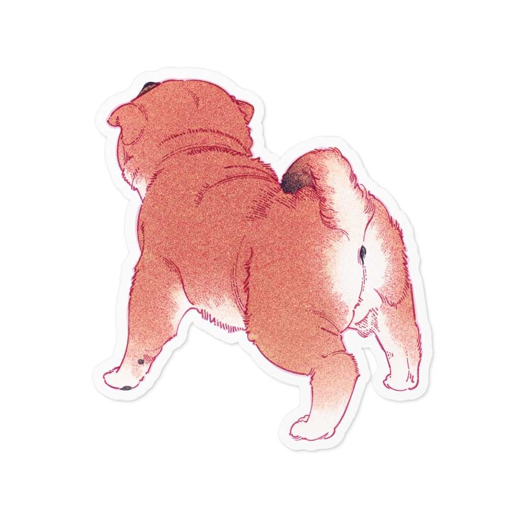 柴犬ころころ