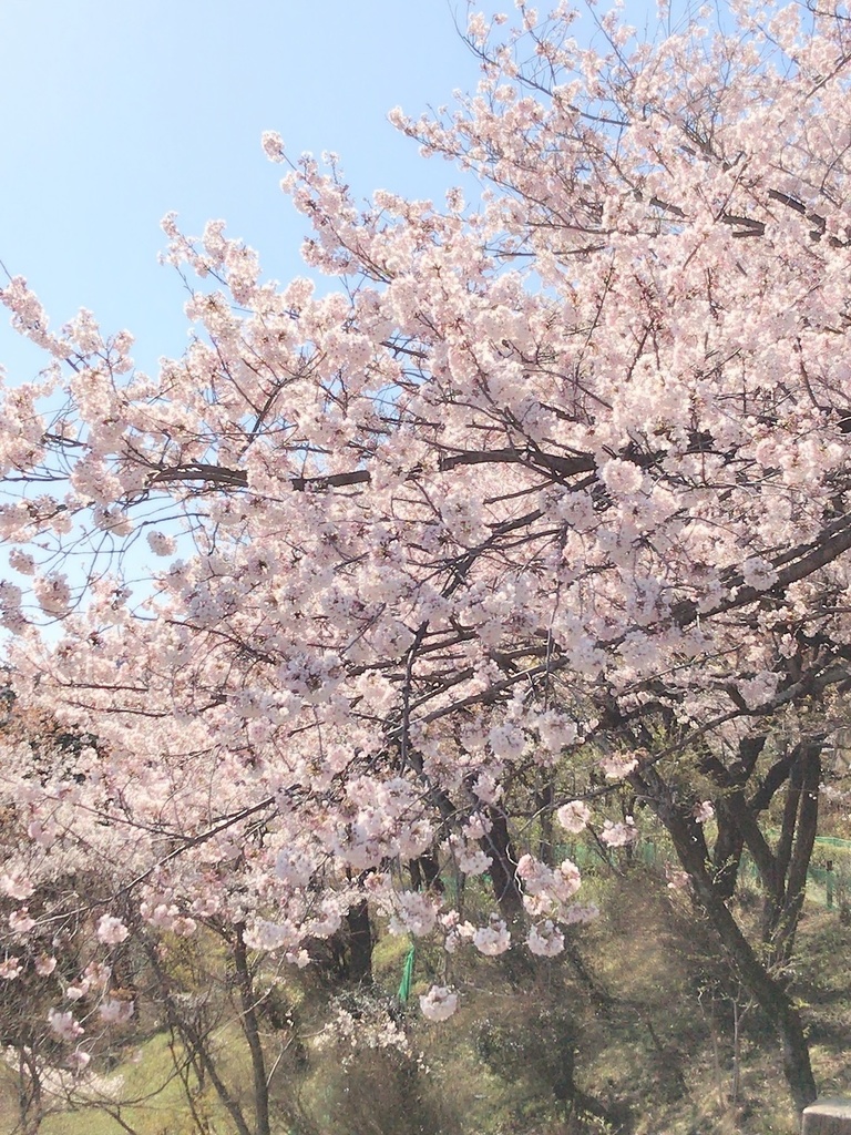 さよならの前に