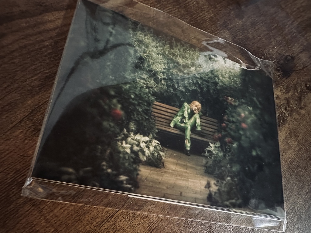 ジョジョ5部  L版写真12枚+α