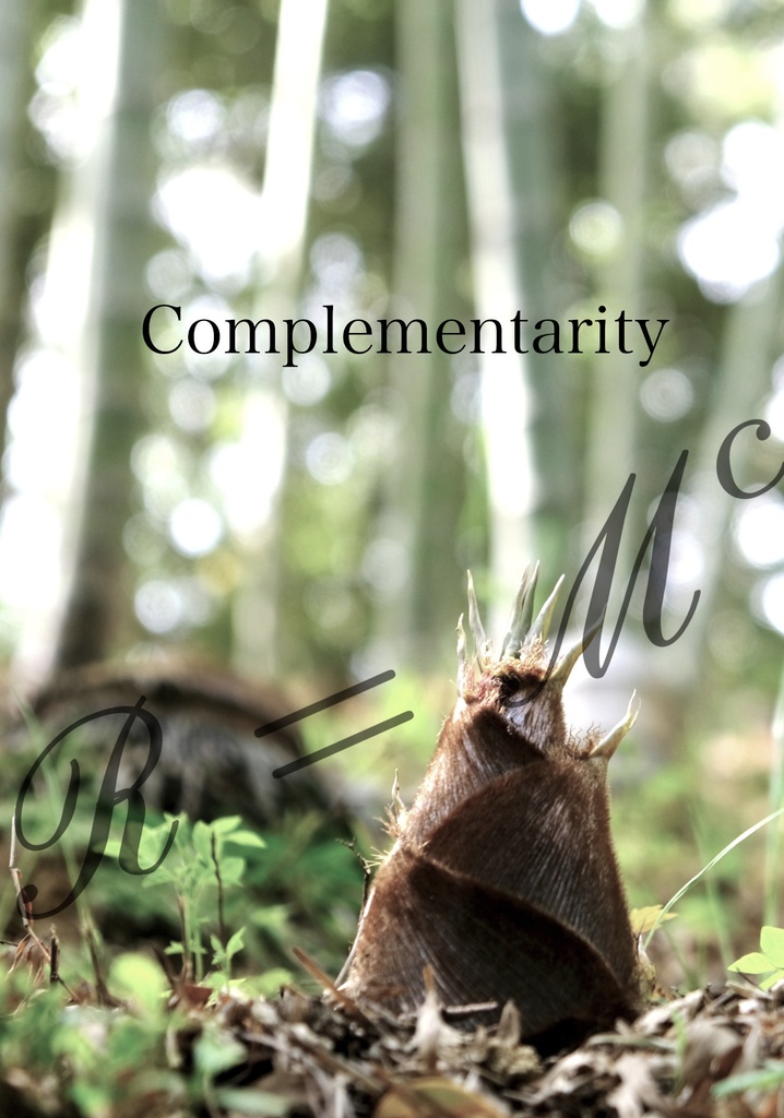 Complementarity (DL版)