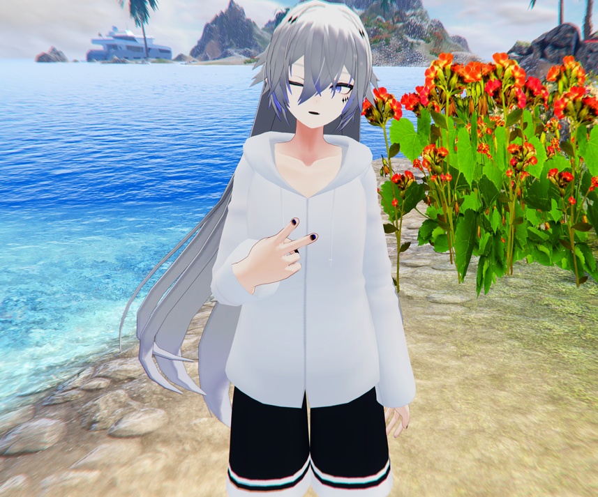 【断罪君用衣装】パーカー水着