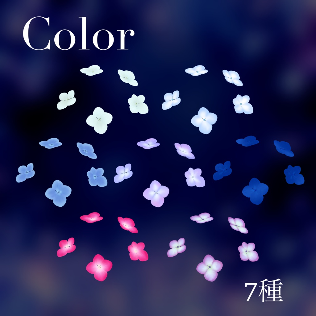 紫陽花のヘイロー【Hydrangea Halo】